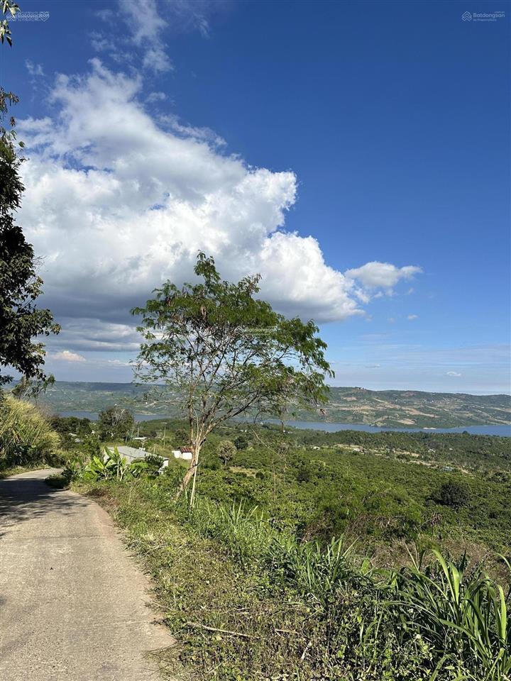 Bds dòng tiền còn 12,5 ty 10000m2 đất thổ cư du lịch nghỉ dưỡng view sông di linh chinh chủ.