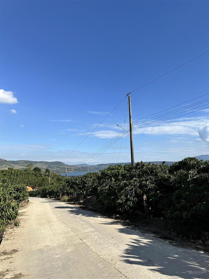 Bds dòng tiền còn 12,5 ty 10000m2 đất thổ cư du lịch nghỉ dưỡng view sông di linh chinh chủ.