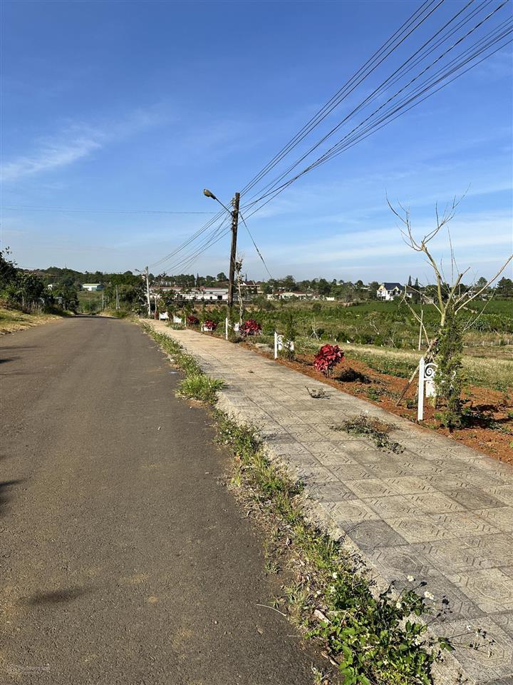 Hạ giá 15,8 tỷ bán 3.200m² đất thổ cư nghỉ dưỡng bảo lộc | 2 mặt tiền đường nhựa gần thác dambri