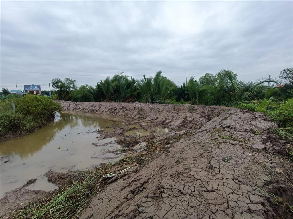 1.711m mt 32m, phước lại, cần giuộc chỉ 2,2 tỷ.