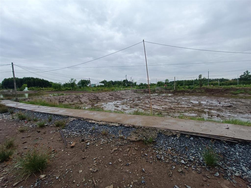 1.711m mt 32m, phước lại, cần giuộc chỉ 2,2 tỷ.