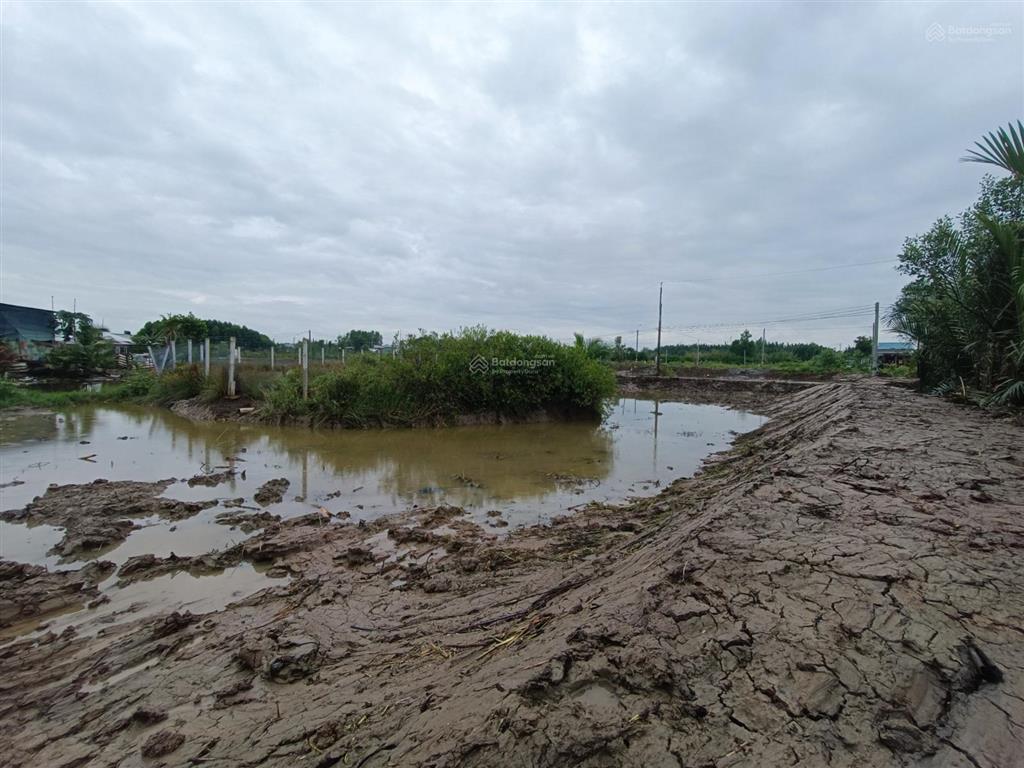 1.711m mt 32m, phước lại, cần giuộc chỉ 2,2 tỷ.
