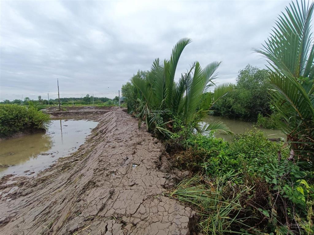 1.711m mt 32m, phước lại, cần giuộc chỉ 2,2 tỷ.