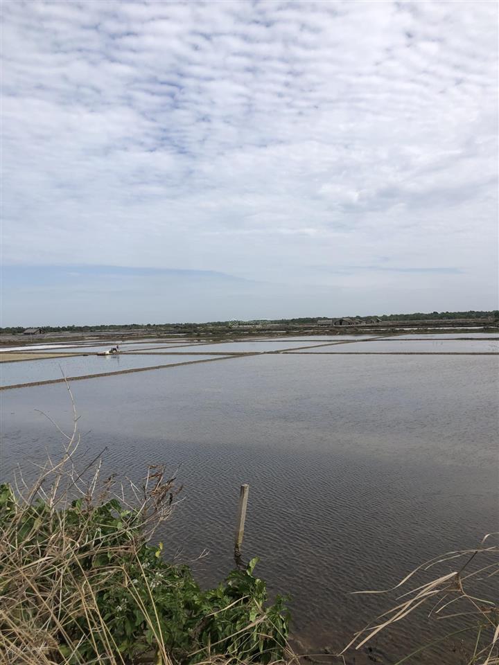 Bán đất lý nhơn, 23,6 tỷ, 23640 m2, cần giờ, tp. hcm