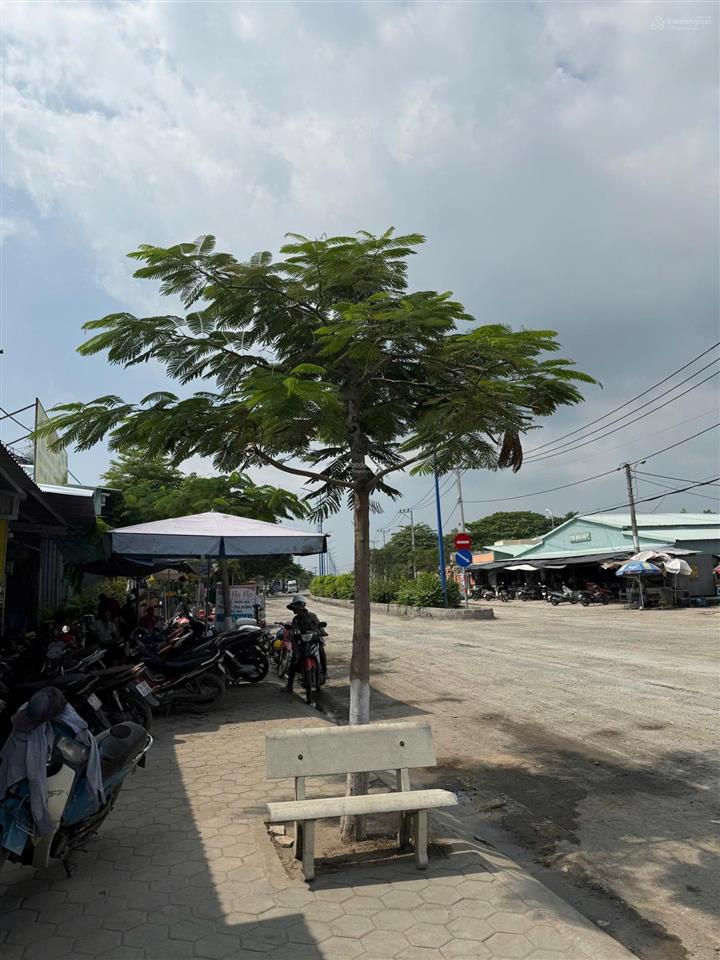 Bán nhà cũ tại mặt tiền đường lương văn nho, đối diện chợ hoà hiệp cần giờ, 9,1 tỷ, 149m2, hot!