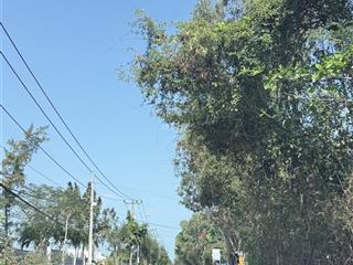 Hàng hiếm nhà 2 mt tại đường giồng ao, cần thạnh, 5,1 tỷ, 100m2 cực nét