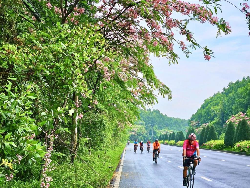 Bán khu nghỉ dưỡng 25000 m2 tại rừng sác, long hòa, cần giờ, giá cực chất 200 tỷ
