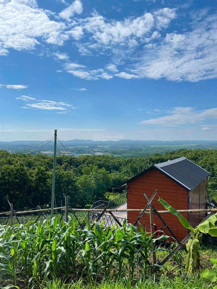 Bán đất vườn view đỉnh đồi nhìn ra hồ tại xã la ngà, định quán, đồng nai, giá 990 nghìn/m2