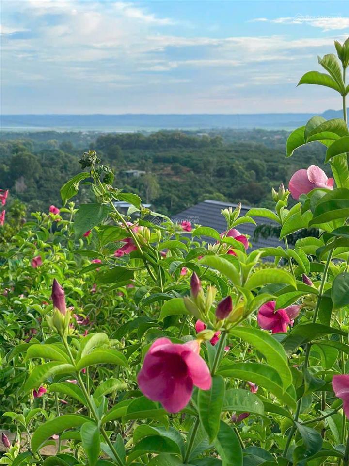 Chủ ngộp nh cắt lỗ 300 triệu, đất vườn view siêu đẹp hồ trị an tại xã la ngà, định quán, đồng nai