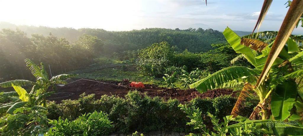 Chủ ngộp nh cắt lỗ 300 triệu, đất vườn view siêu đẹp hồ trị an tại xã la ngà, định quán, đồng nai