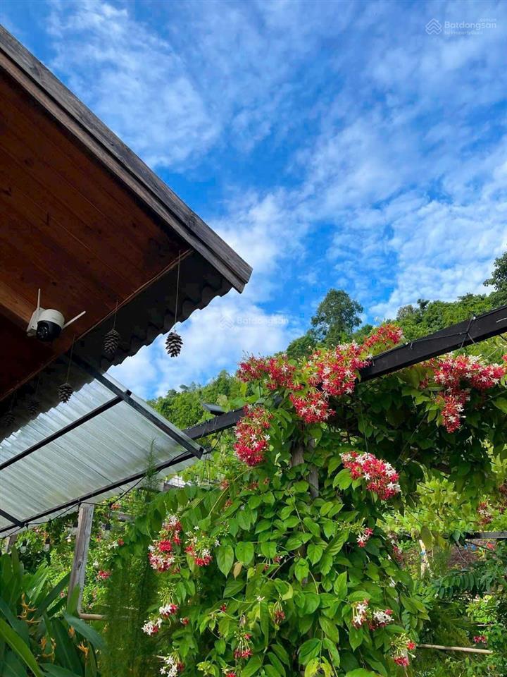 Chủ ngộp nh cắt lỗ 300 triệu, đất vườn view siêu đẹp hồ trị an tại xã la ngà, định quán, đồng nai