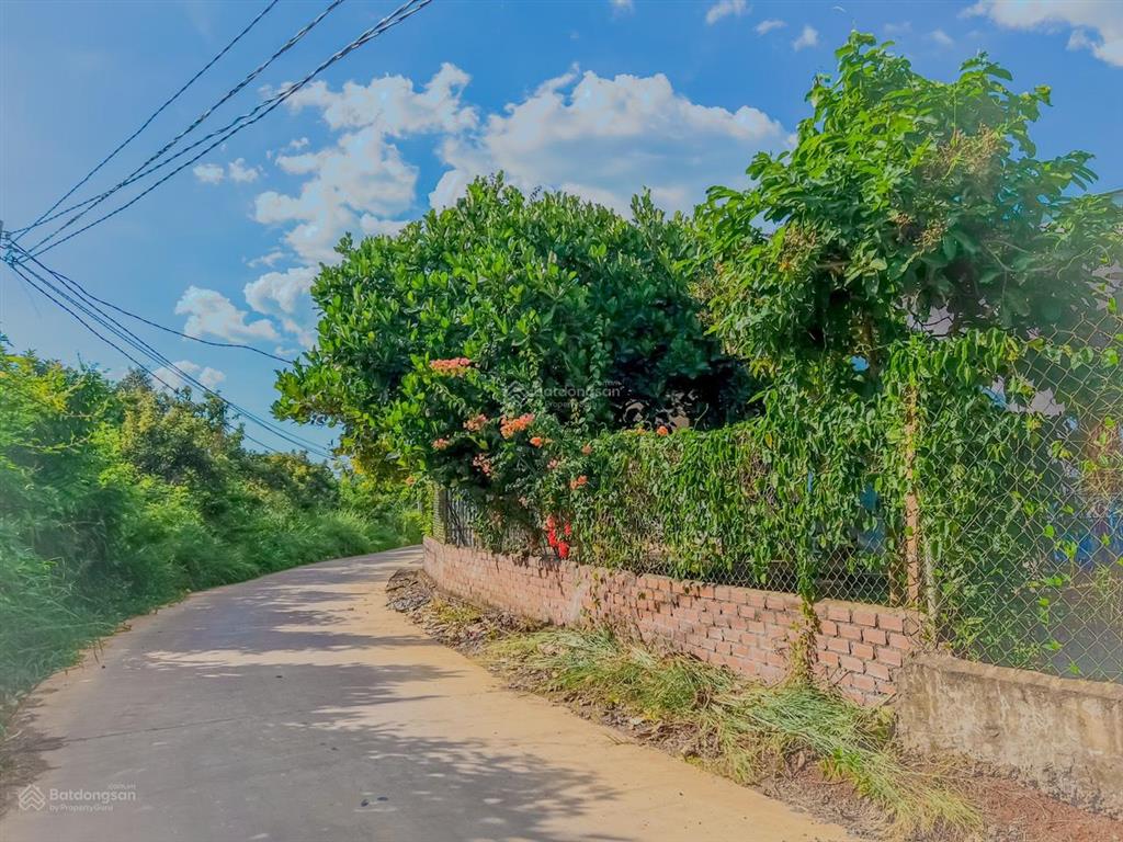 Siêu phẩm đất vườn 1800m2 có sẵn 500m2 thổ cư, chủ ngộp mua 2,1 tỷ giờ cần tiền ra gấp 1,4 tỷ