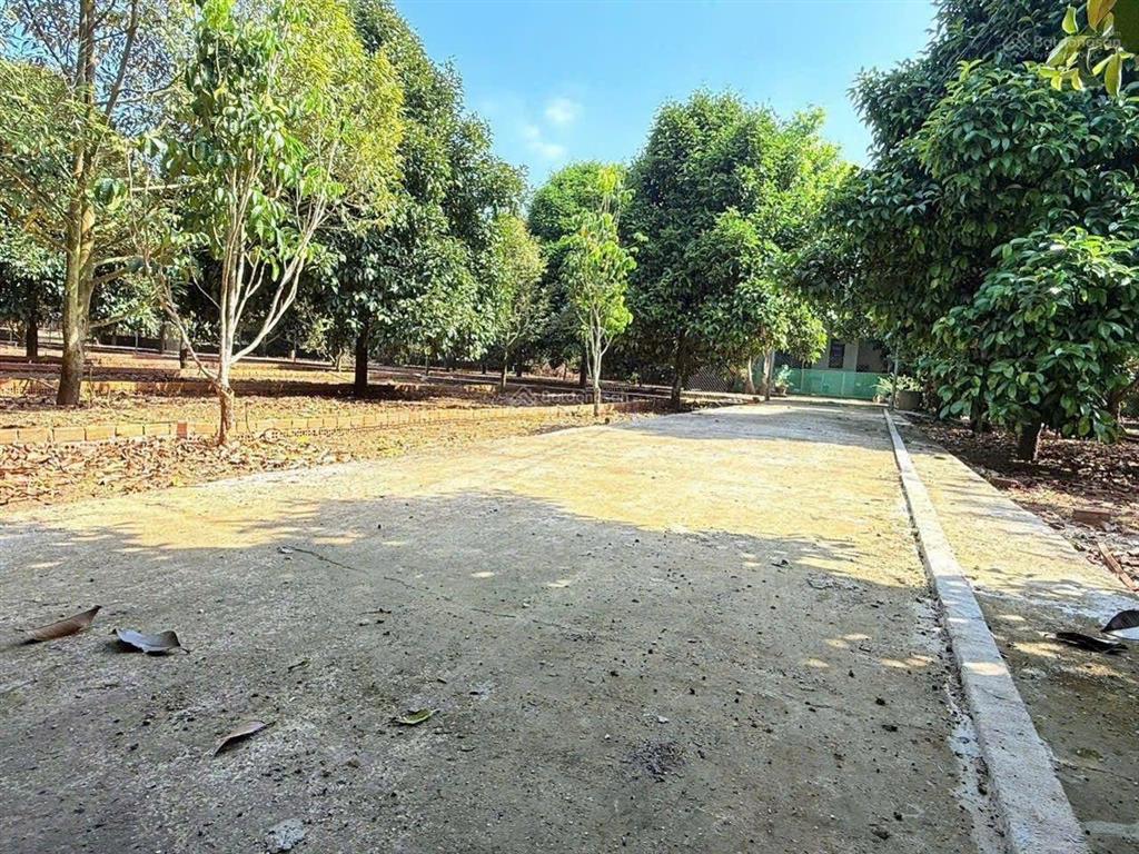 775tr đầu tư vào đất thổ cư dầu giây là ngon luôn cơ hội hiếm, khó tìm gần sân bay long thành