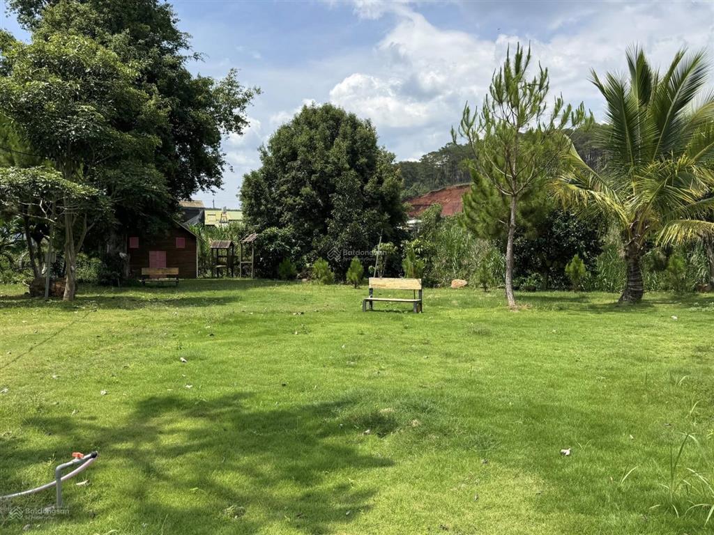 Độc bản view núi chứa chan. 300m2 có thổ cư xây nhà vườn kinh doanh dòng tiền.
