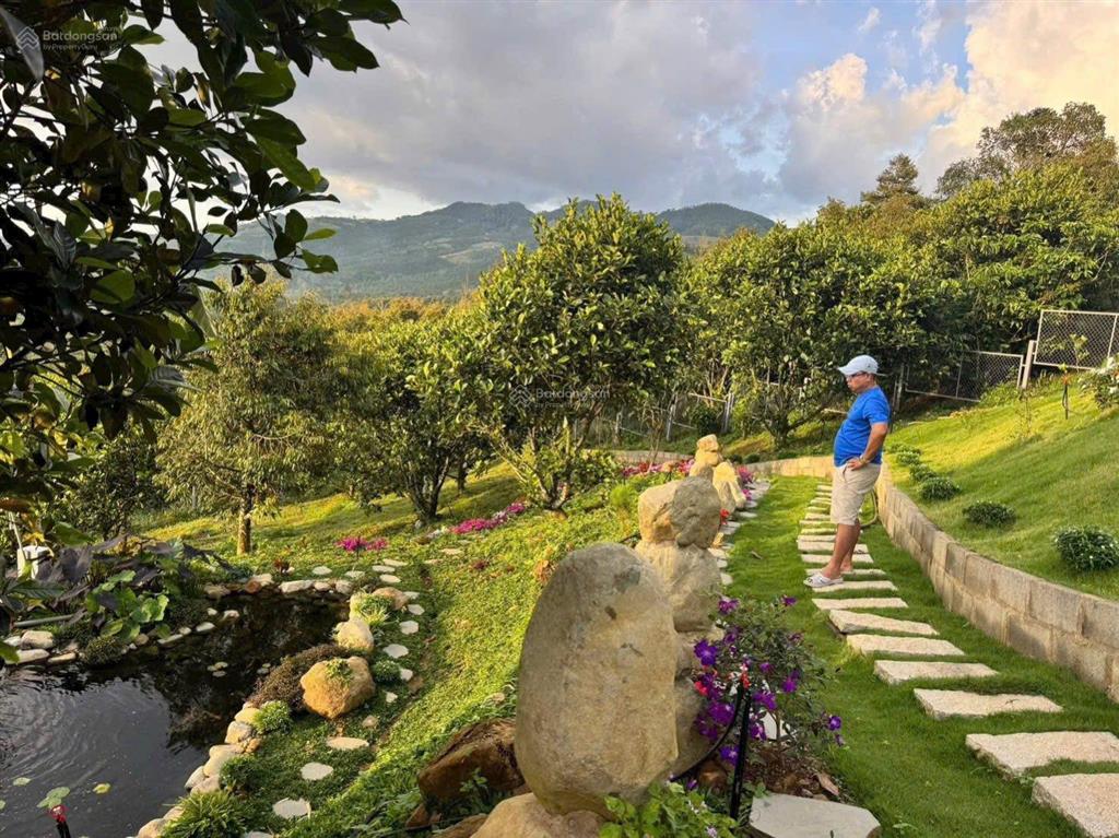 Độc bản view núi chứa chan. 300m2 có thổ cư xây nhà vườn kinh doanh dòng tiền.