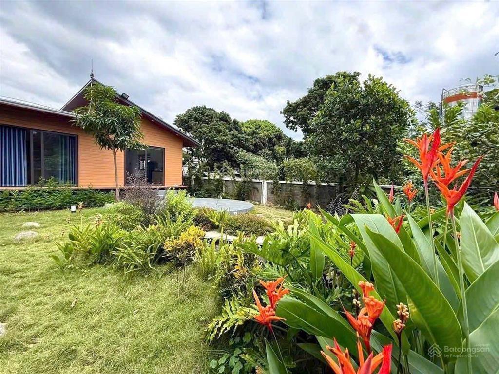 Cực hiếm 500m2 đất vườn mặt view hồ trị an vô cực. lên được thổ cư. trung tâm thị trấn vĩnh an