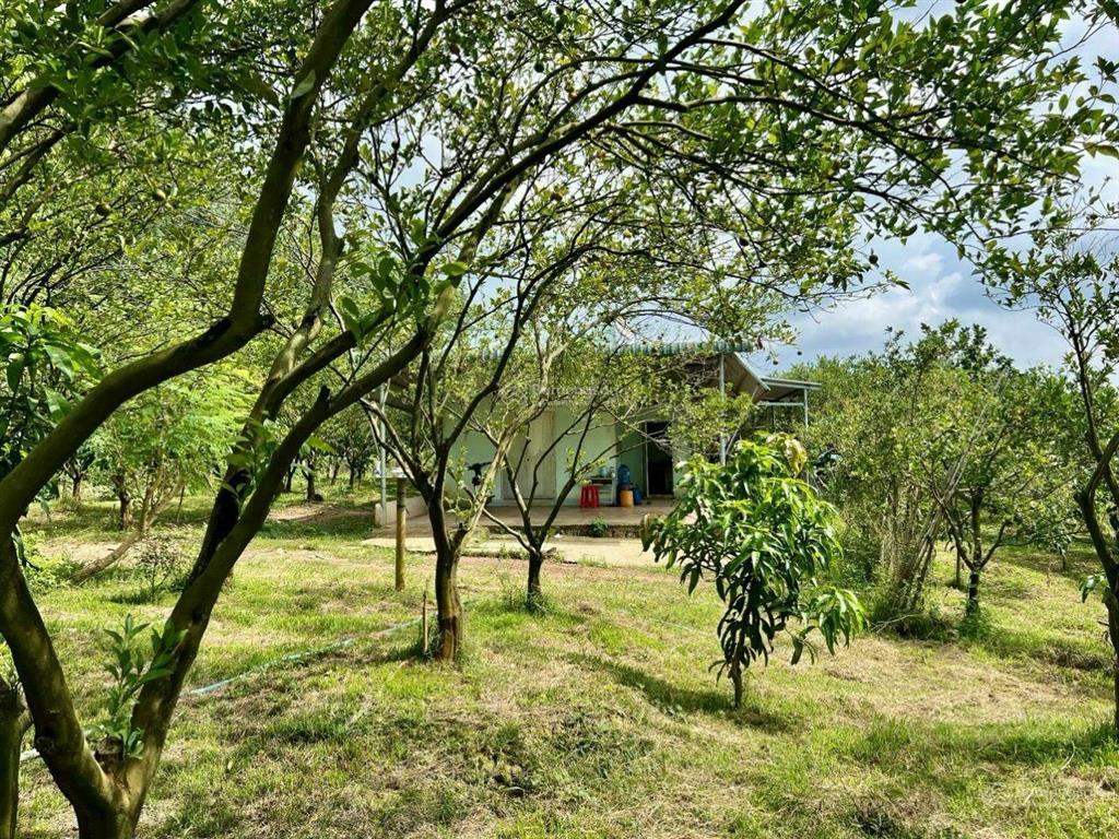 Bán đất tại xã la ngà, đồng nai, 645 triệu, 1184m2, ngay điểm xuống cao tốc hồ chí minh  tân phú