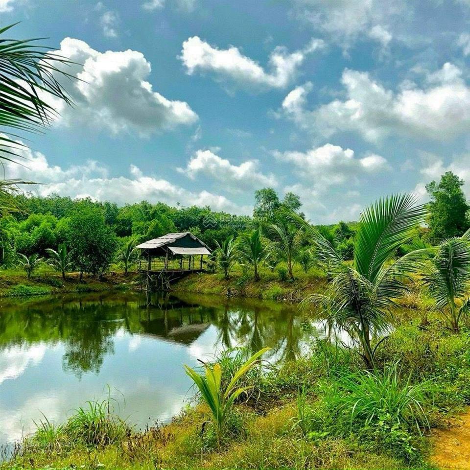 Bán đất tại xã la ngà, đồng nai, 645 triệu, 1184m2, ngay điểm xuống cao tốc hồ chí minh  tân phú