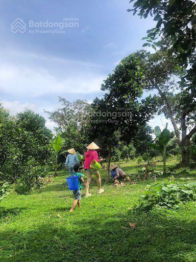 Bán đất tại xã la ngà, đồng nai, 645 triệu, 1184m2, ngay điểm xuống cao tốc hồ chí minh  tân phú