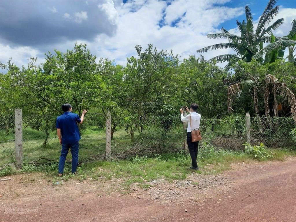 Bán đất tại xã la ngà, đồng nai, 645 triệu, 1184m2, ngay điểm xuống cao tốc hồ chí minh  tân phú
