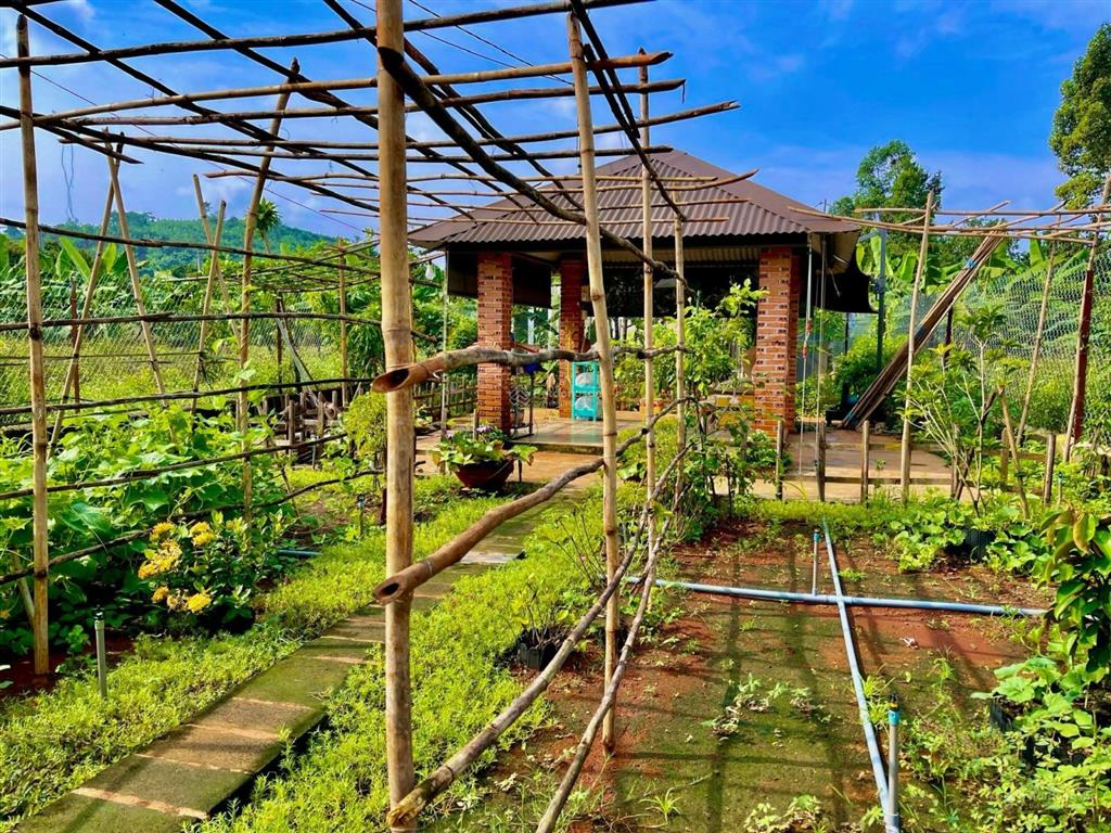 Bán đất tại xã la ngà, đồng nai, 645 triệu, 1184m2, ngay điểm xuống cao tốc hồ chí minh  tân phú