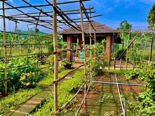 Bán đất tại xã la ngà, đồng nai, 645 triệu, 1184m2, ngay điểm xuống cao tốc hồ chí minh  tân phú