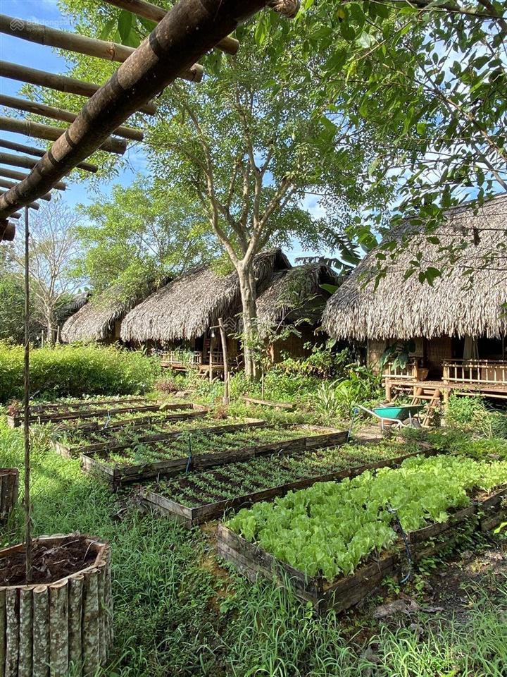 Bán không gian sống xanh  trong lành 744 triệu cho 1424m2, gần sông la ngà và hồ trị an