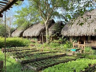 Bán không gian sống xanh trong lành 744 triệu cho 1424m2, gần sông la ngà và hồ trị an