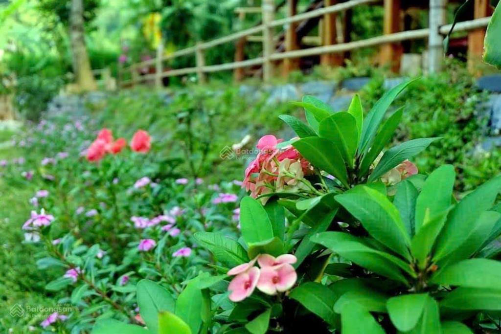 723tr sở hữu ngay đất vườn 1.394m2 gần hồ quy hoạch đất ở
