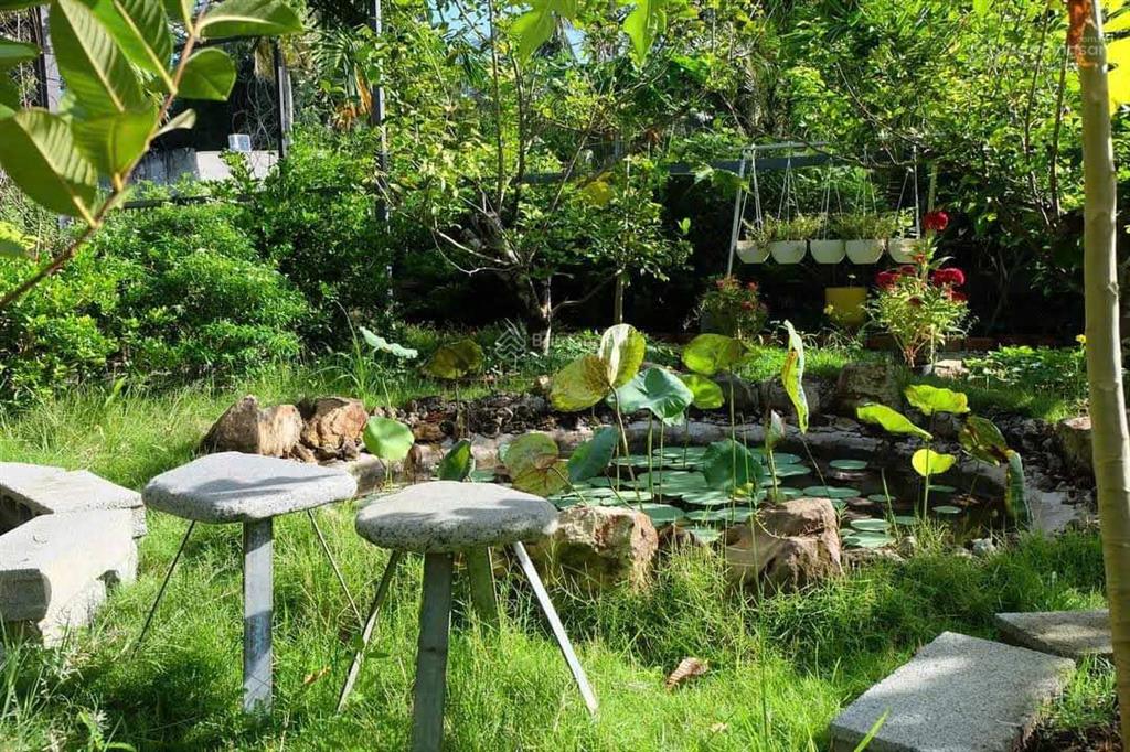 723tr sở hữu ngay đất vườn 1.394m2 gần hồ quy hoạch đất ở