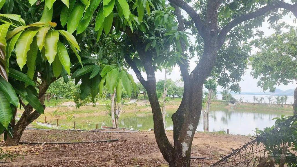 Chủ ngộp cần bán đất vườn view sông la ngà 1.000m2 chỉ 540tr cách cạnh nút giao cao tốc 4km
