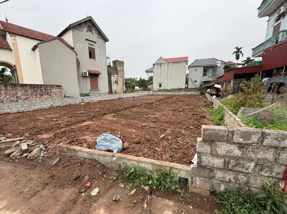 Lô góc 114m2 view hồ bá khê liên nghĩa, văn giang, lưu không trước mặt đất 4m