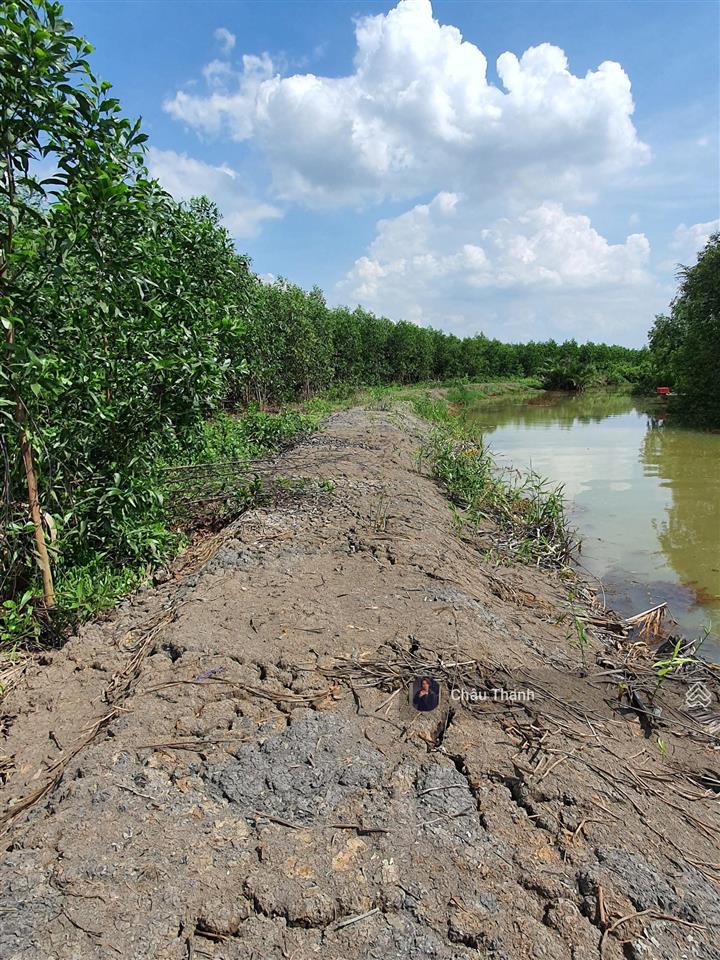 Ra gấp ~1,2 hecta đất gần vành đai 3 và kdl bò cạp vàng, giá cực tốt