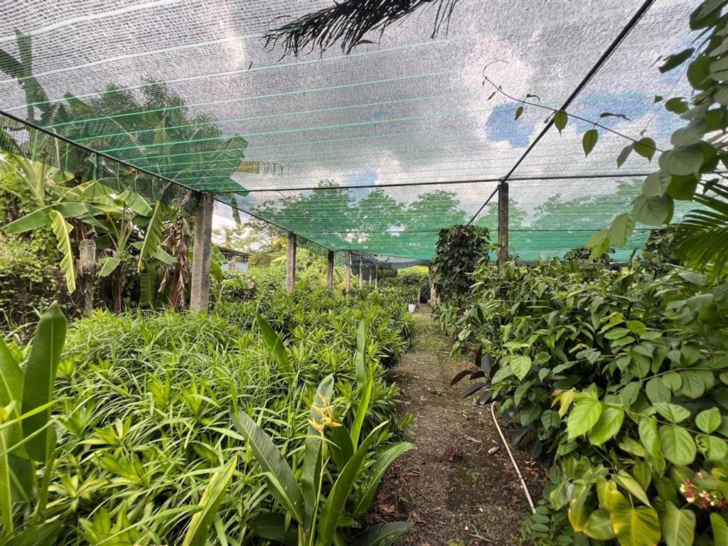 Cực hot, mặt tiền nguyễn duy trinh, gần 6000m2 thổ cư, khu đông tăng long, nhỉnh 100tr/m2