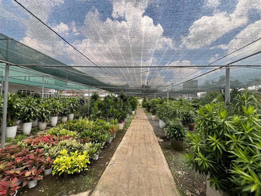 Cực hot, mặt tiền nguyễn duy trinh, gần 6000m2 thổ cư, khu đông tăng long, nhỉnh 100tr/m2