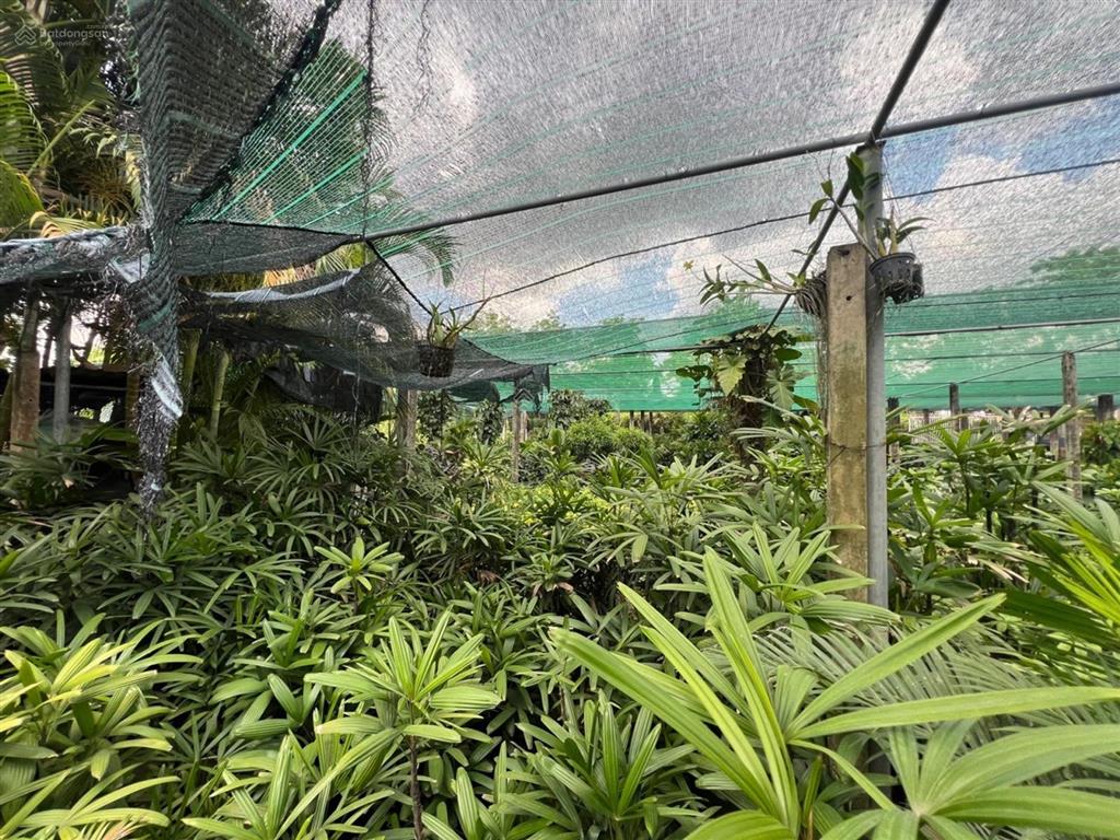 Cực hot, mặt tiền nguyễn duy trinh, gần 6000m2 thổ cư, khu đông tăng long, nhỉnh 100tr/m2