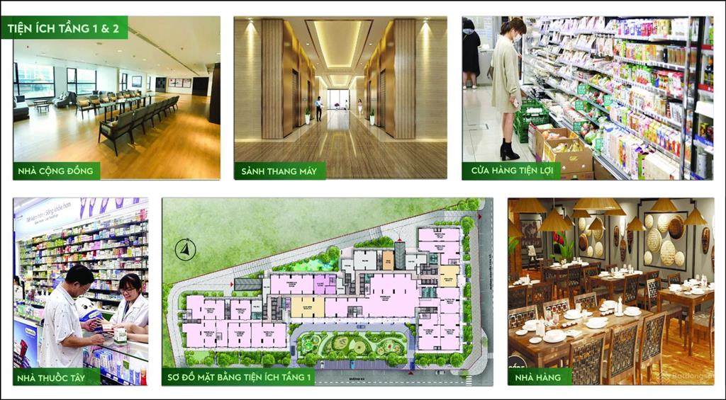 Thông tin giá bán & tiến độ thanh toán dự án căn hộ noxh eco residence nguyễn văn tỏ long bình tân