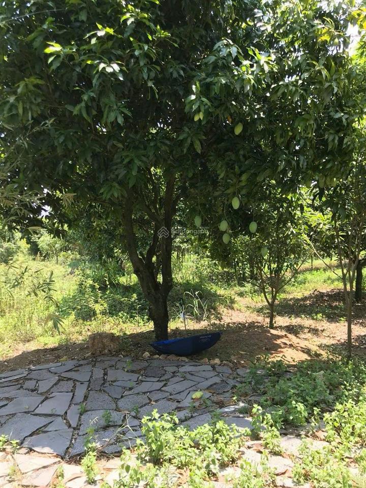 Chính chủ gửi 1,6 ha, giá 8 tỷ, sổ hồng cầm tay,  làm việc 0908 304 ***