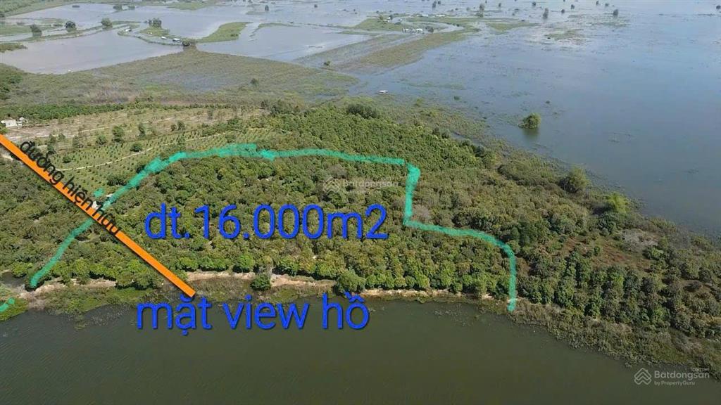 Chính chủ gửi 1,6 ha, giá 8 tỷ, sổ hồng cầm tay,  làm việc 0908 304 ***