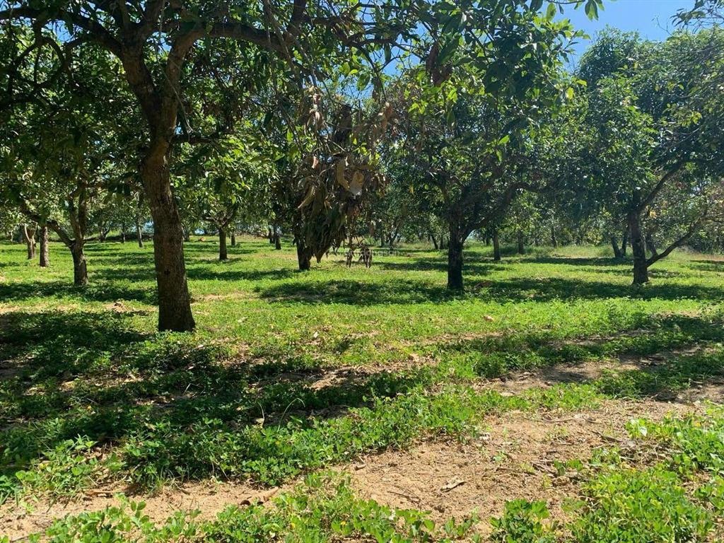 Chính chủ gửi 1,6 ha, giá 8 tỷ, sổ hồng cầm tay,  làm việc 0908 304 ***