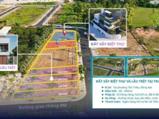 Bán đất ngay ngã tư chợ tân triều, 1 tỷ 350/80m2, sổ hồng thổ cư, đường giao thông 8m