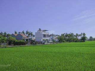 Bán đất hội an tặng nhà view cánh đồng cẩm thanh mát mẻ không ngập lụt.