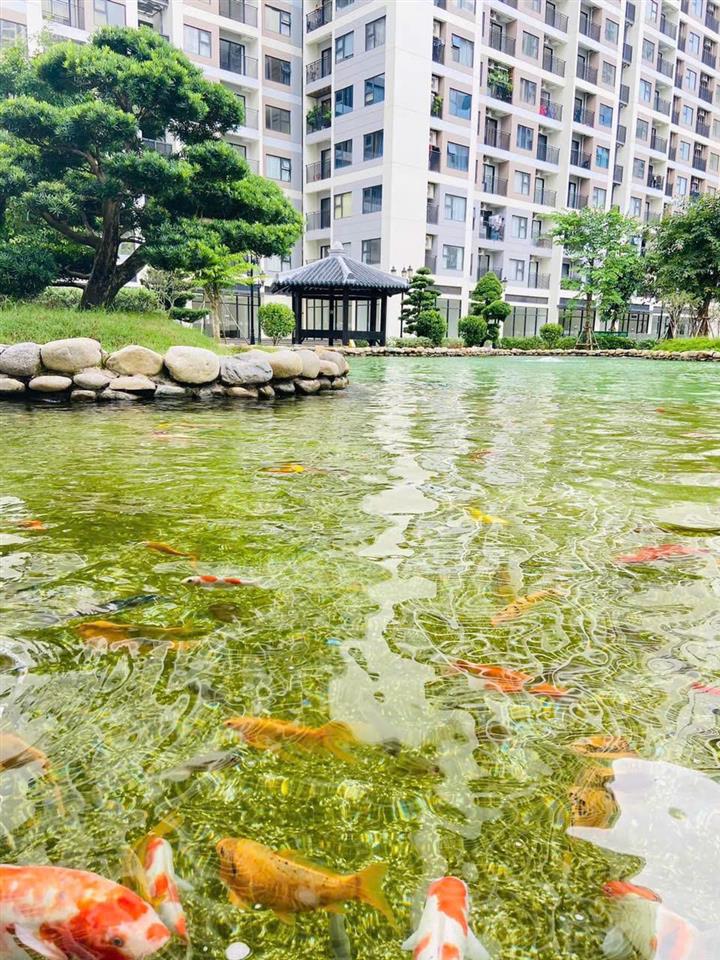 Căn hộ studio giá 1,7 tỷ đông nam view nội khu hồ cá koi s10. xem nhà  0934 050 ***