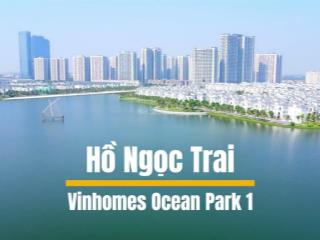 Chính chủ cần bán gấp siêu biệt thự đơn lập trực diện hồ vinhomes cean park 1 ngọc trai đảo nhỏ