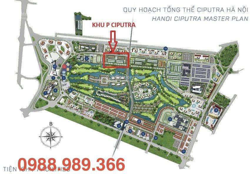 Ngoại giao biệt thự khu p ciputra