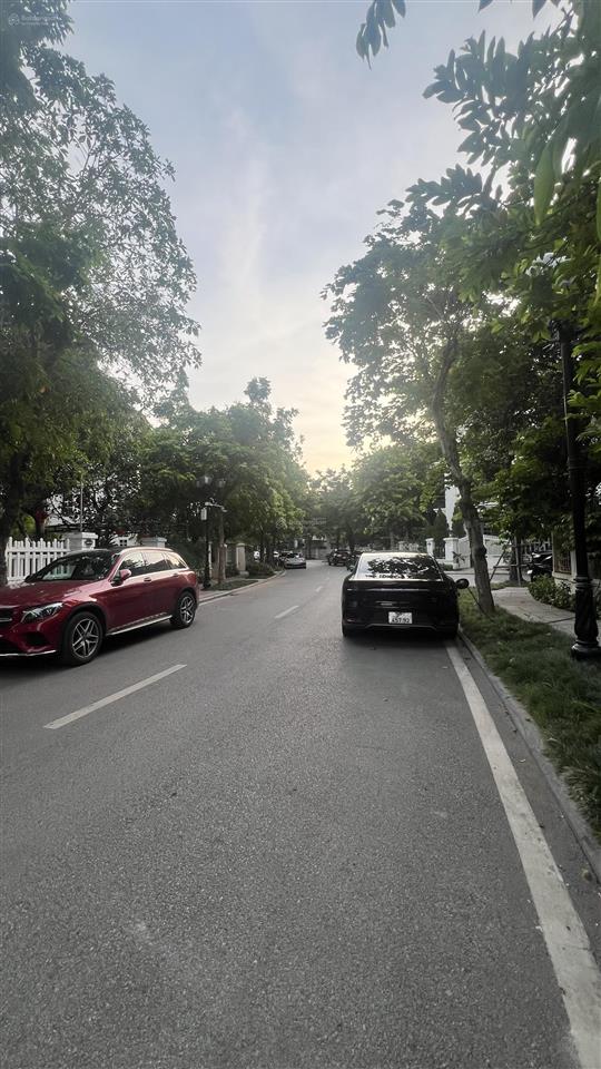 Cho thuê biệt thự anh đào hoàn thiện sẵn ở luôn