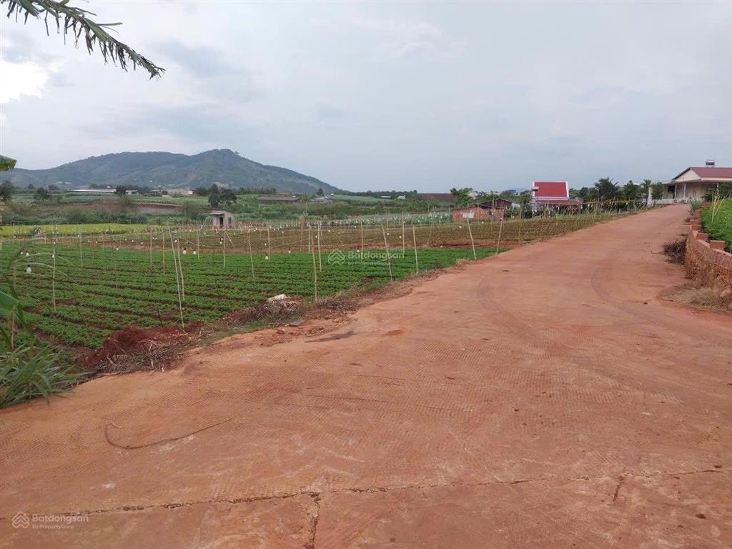Bán hơn 1 hecta đất nông nghiệp xe ôtô tận nơi tại bồng lai, hiệp thạnh, đức trọng, lđ. giá 14,7 tỷ