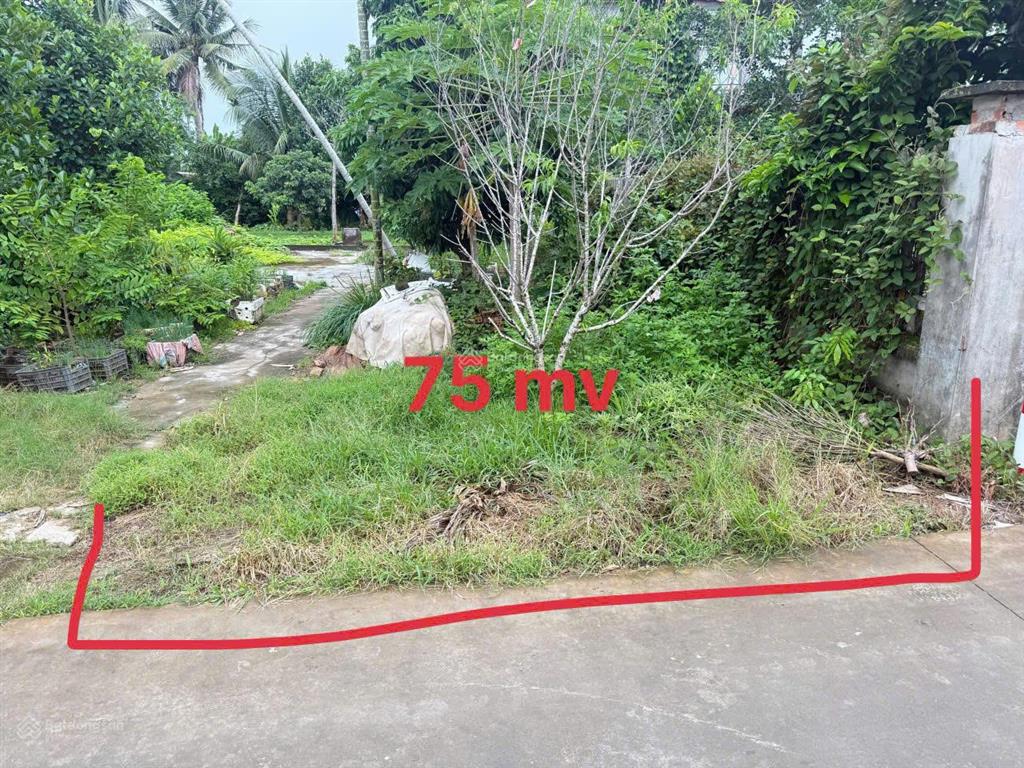 Chính chủ em bán lô đất siêu phẩm trục đg thôn 6m tuyến 2 đg 361  lão phong tân phong  kiến thụy.