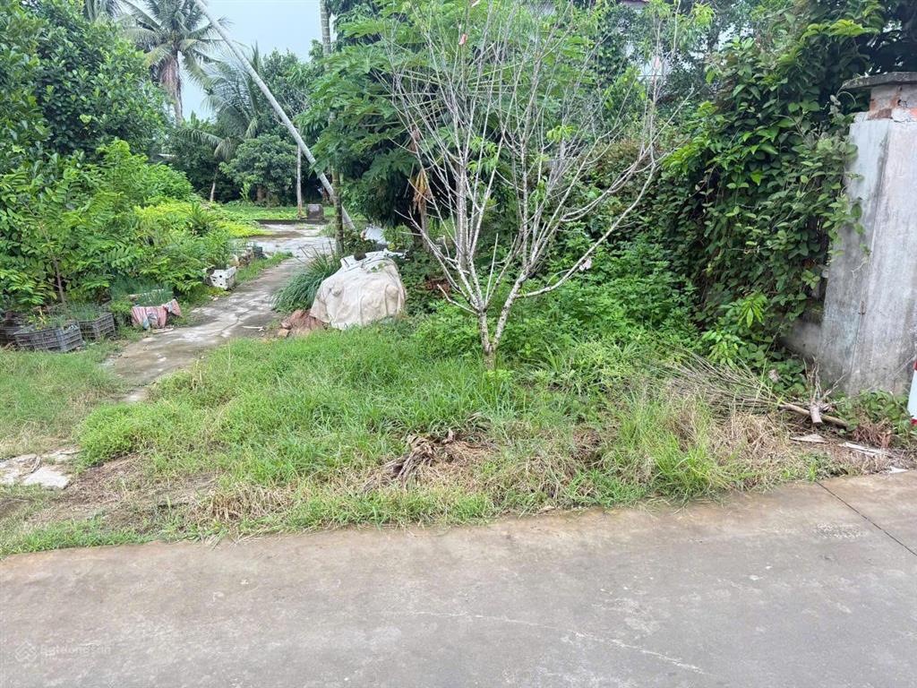 Chính chủ em bán lô đất siêu phẩm trục đg thôn 6m tuyến 2 đg 361  lão phong tân phong  kiến thụy.
