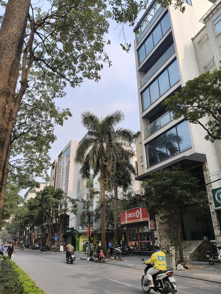 Building 86m2 8t thang máy! mặt phố nguyễn thị thập, kinh doanh đắc địa, vỉa hè mỗi bên 5m